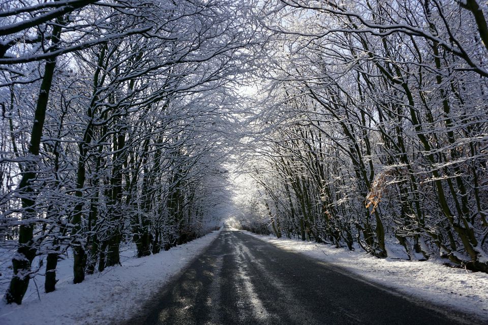 Prepare for winter